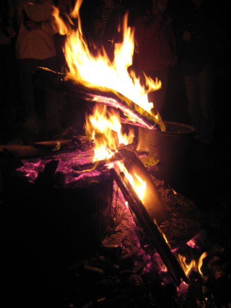 photo5.jpg