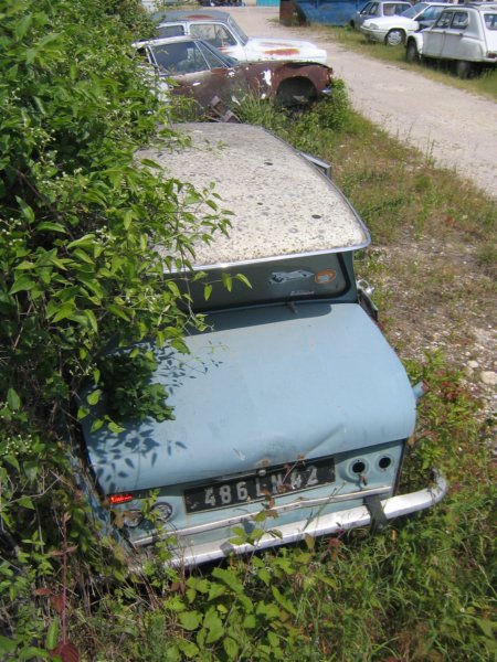 photo38.jpg