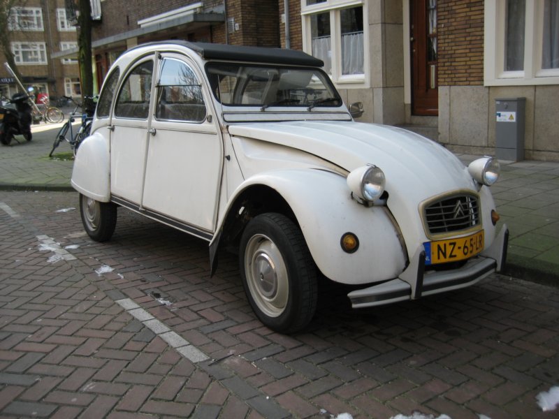 photo954.jpg