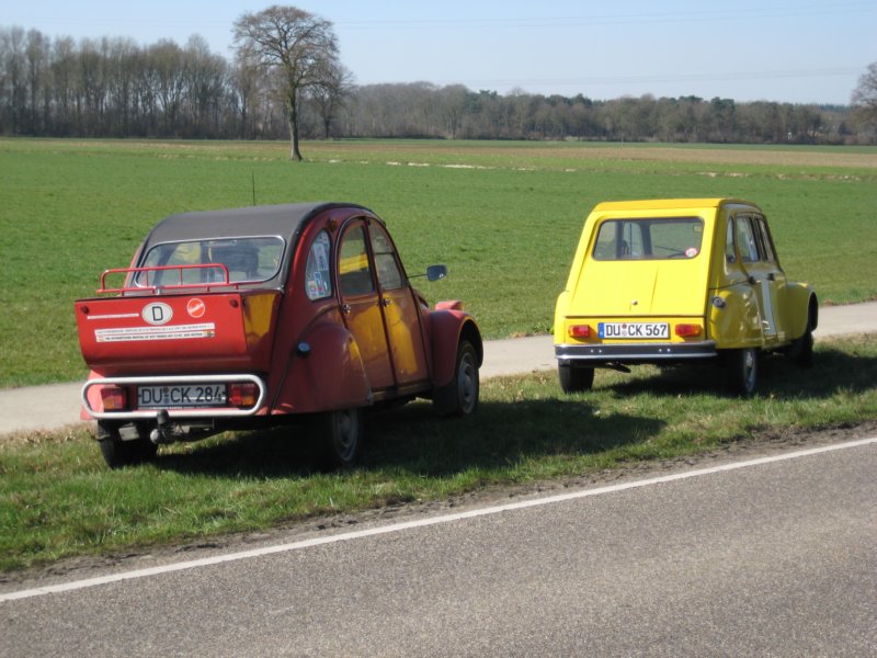 photo11.jpg