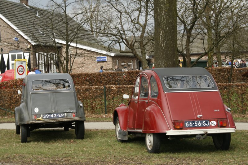 photo11.jpg