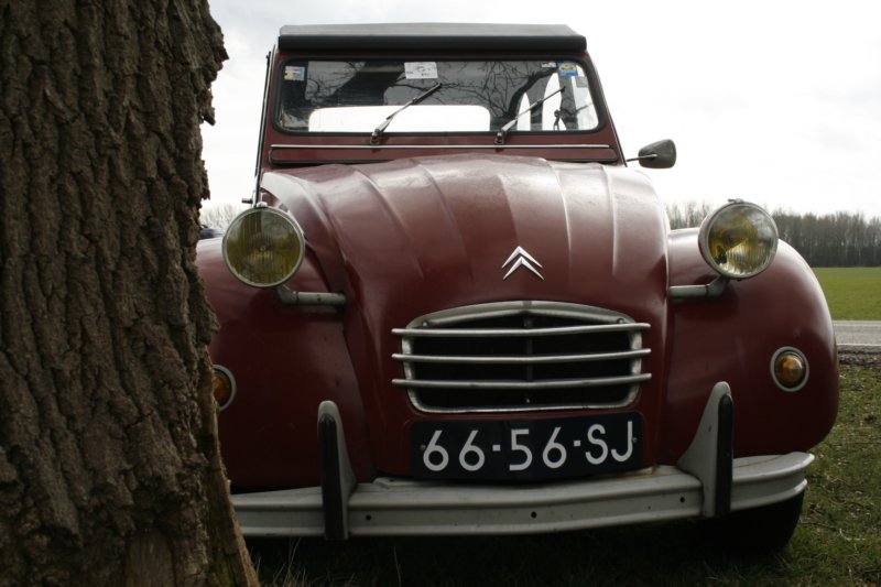 photo8.jpg