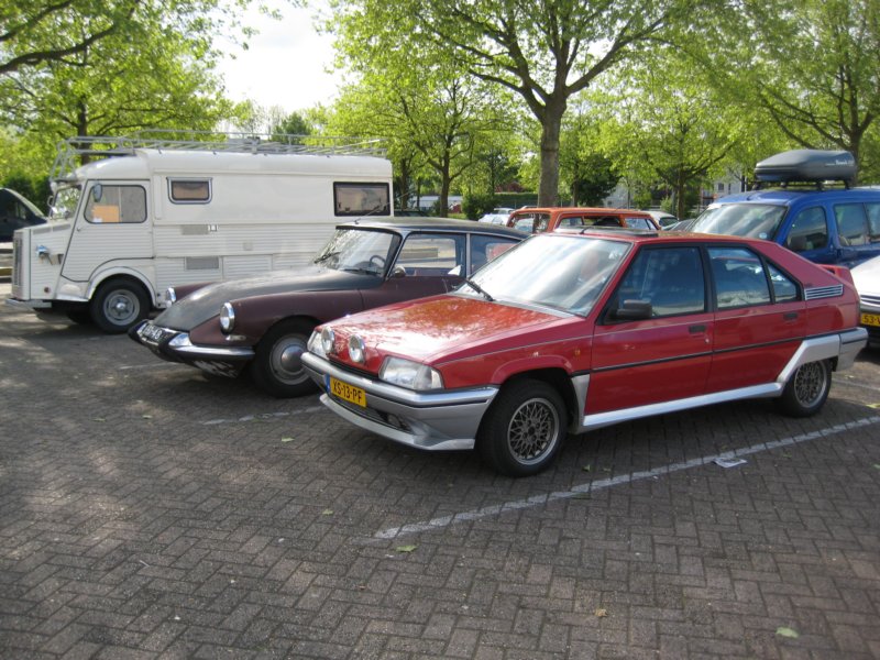 photo41.jpg