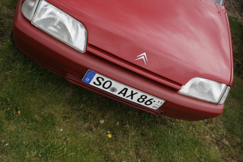 photo44.jpg
