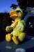 photo34_small.jpg