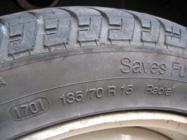 photo27.jpg
