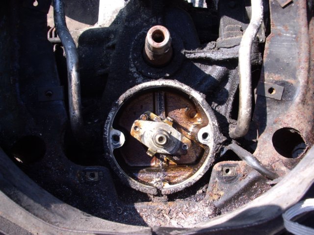 photo1.jpg