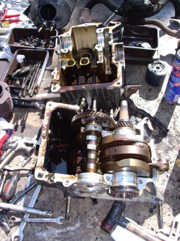 photo16.jpg