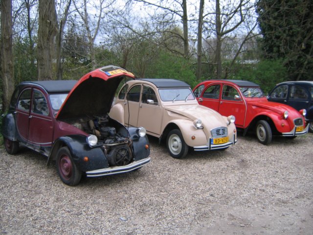 photo44.jpg