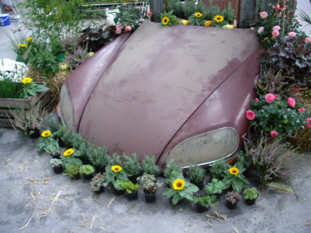 photo31.jpg