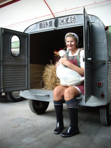photo42.jpg