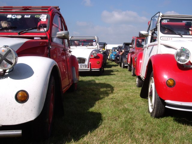 photo26.jpg