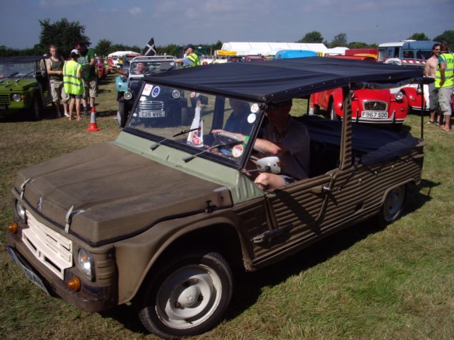 photo28.jpg
