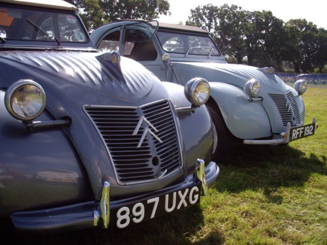 photo36.jpg