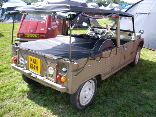 photo46.jpg