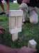 photo79_small.jpg