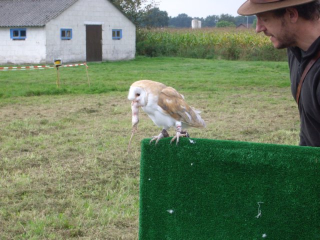 photo11.jpg