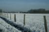 photo20_small.jpg