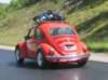 photo12_small.jpg