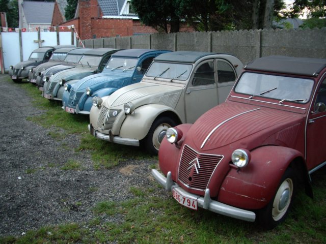 photo14.jpg