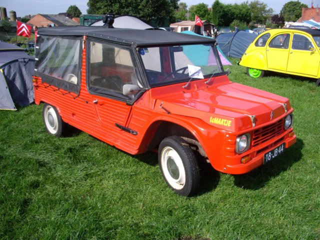 photo28.jpg
