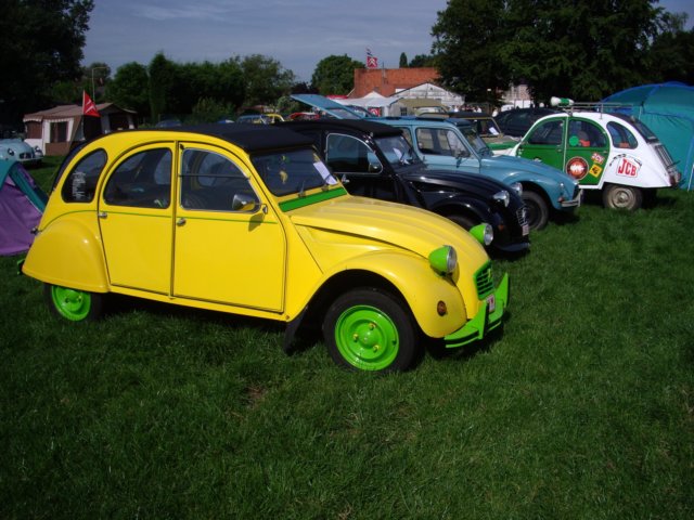 photo29.jpg