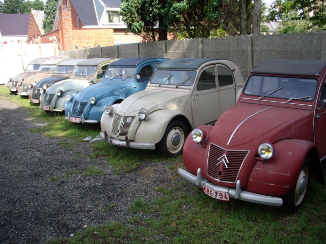 photo32.jpg