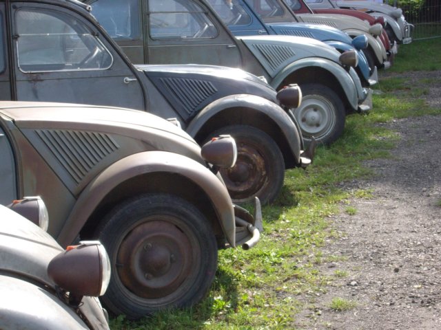photo37.jpg