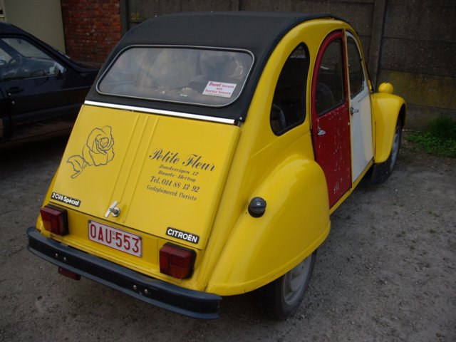 photo63.jpg