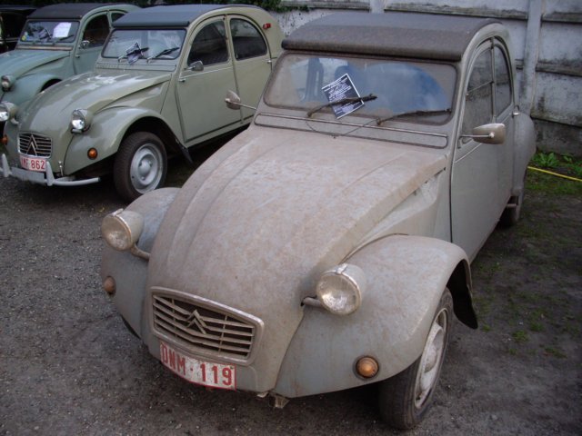 photo66.jpg