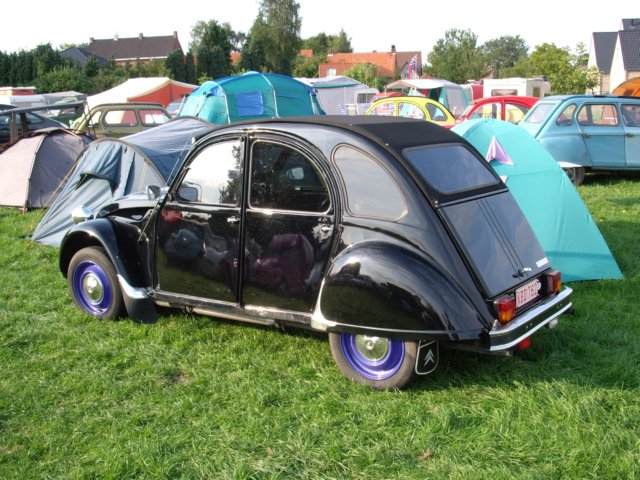 photo71.jpg