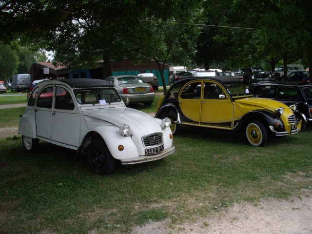 photo26.jpg