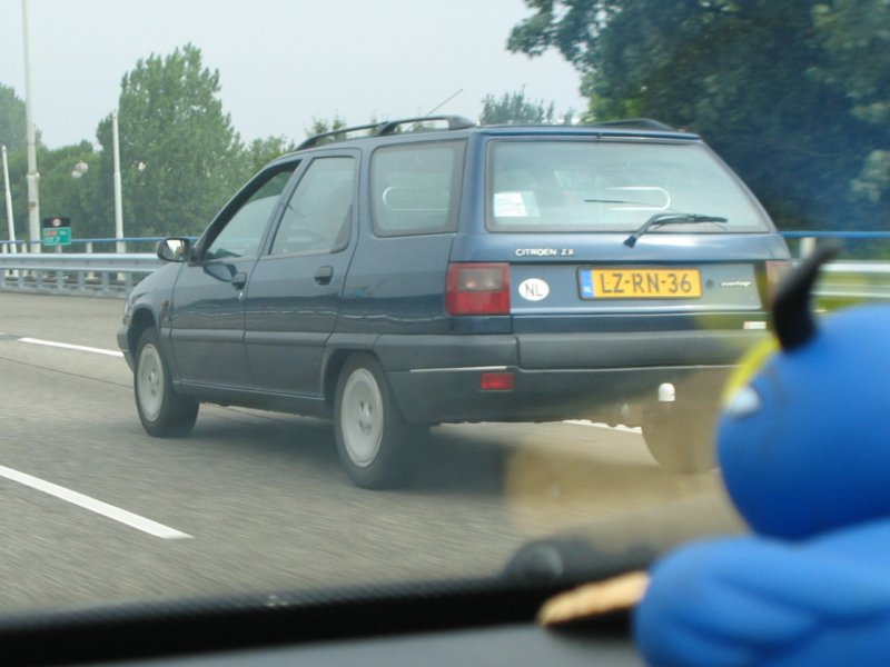 photo40.jpg