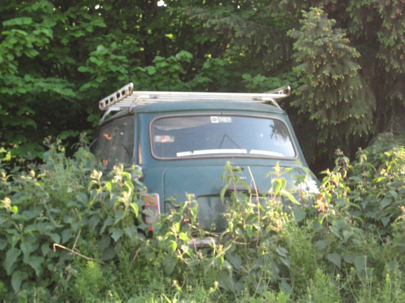 photo87.jpg